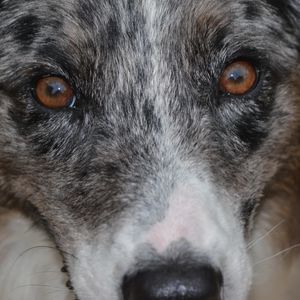 Meet your Posher, Elayne